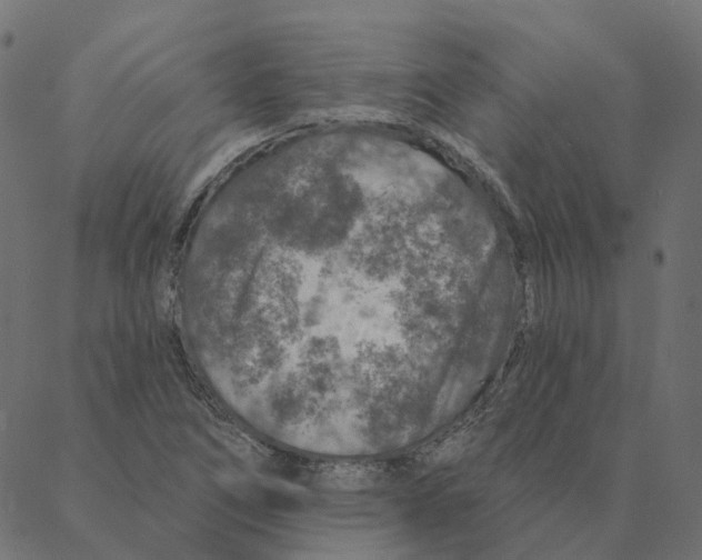 X0000087381266200705181233