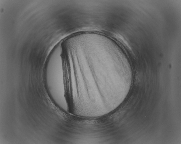 X0000087381268200705181233