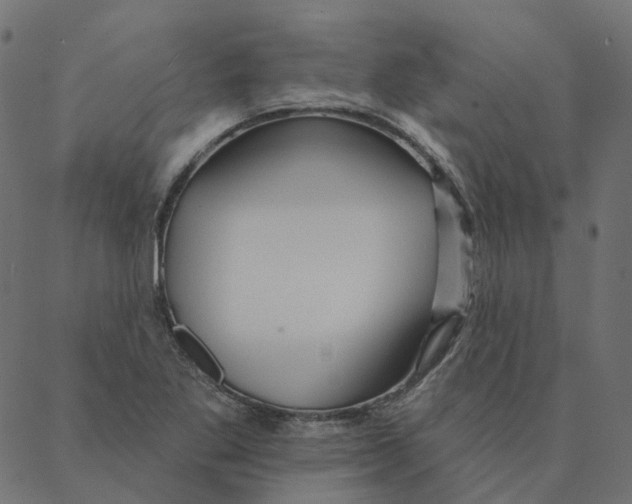 X0000087381269200705181233