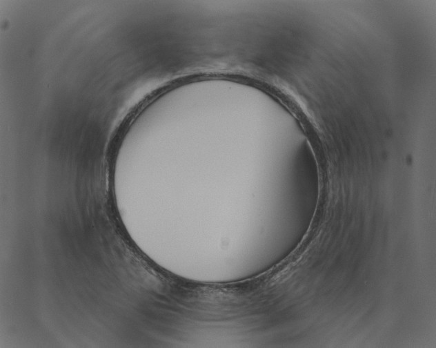 X0000087381270200705181233