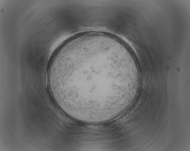 X0000087381271200705181233