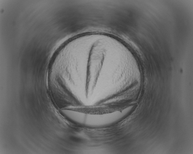 X0000087381272200705181233