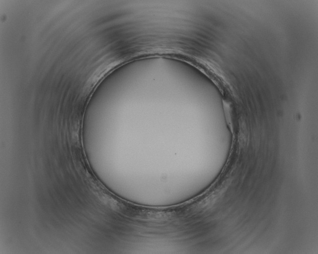 X0000087381273200705181233