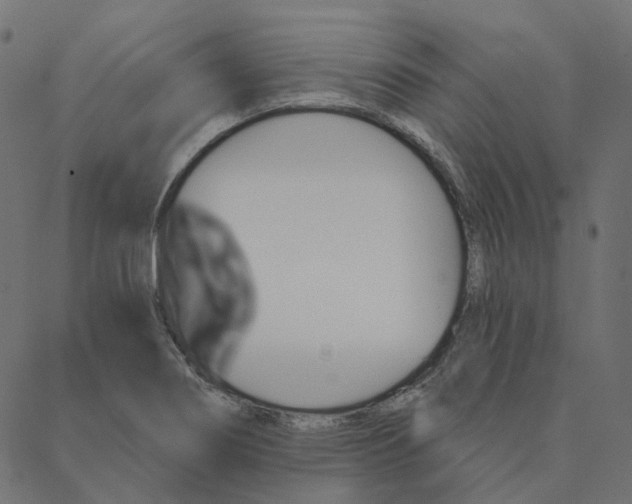 X0000087381274200705181233