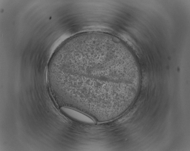 X0000087381275200705181233