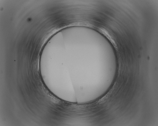 X0000087381276200705181233