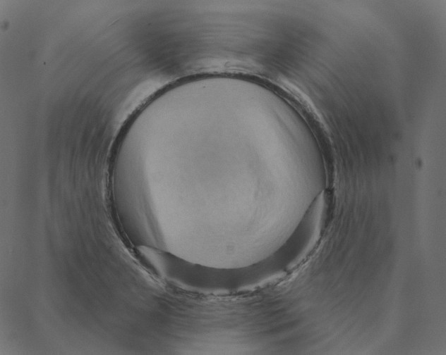 X0000087381277200705181233