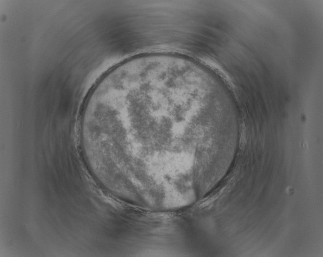 X0000087381278200705181233