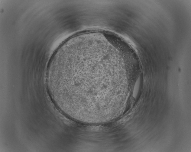 X0000087381279200705181233