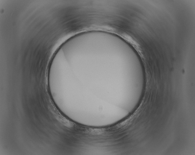 X0000087381280200705181233