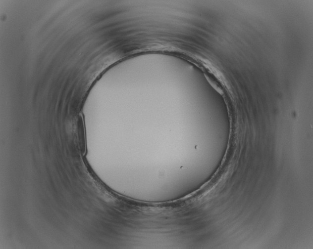 X0000087381281200705181233