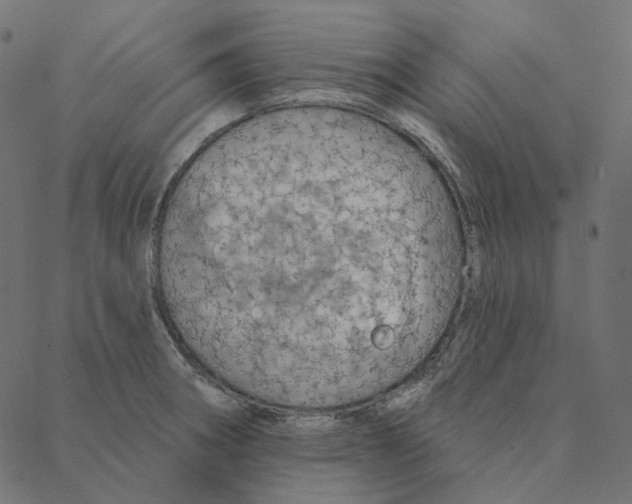 X0000087381282200705181233