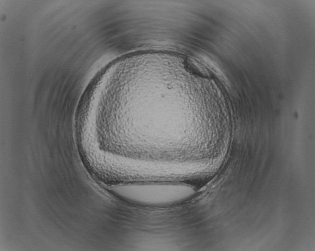 X0000087381283200705181233