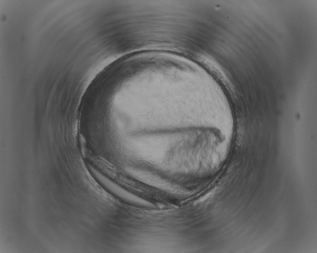 X0000087381284200705181233