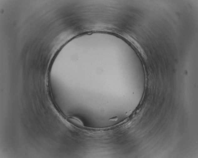 X0000087381285200705181233