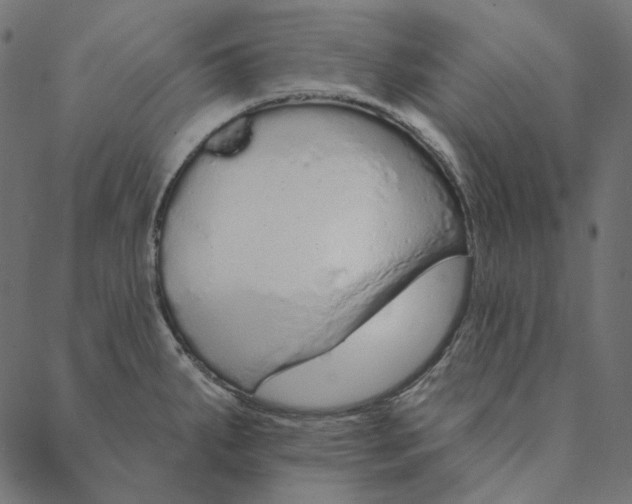 X0000087381287200705181233