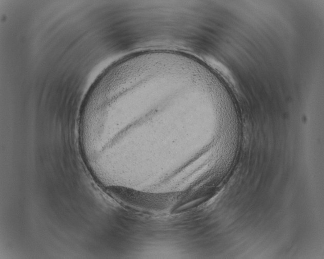 X0000087381288200705181233