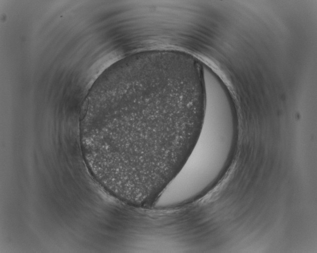 X0000087381289200705181233