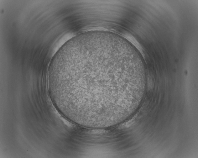 X0000087381290200705181233