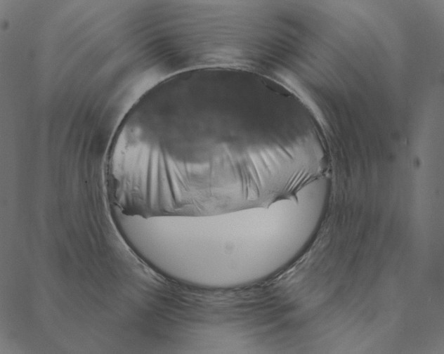 X0000087381291200705181233