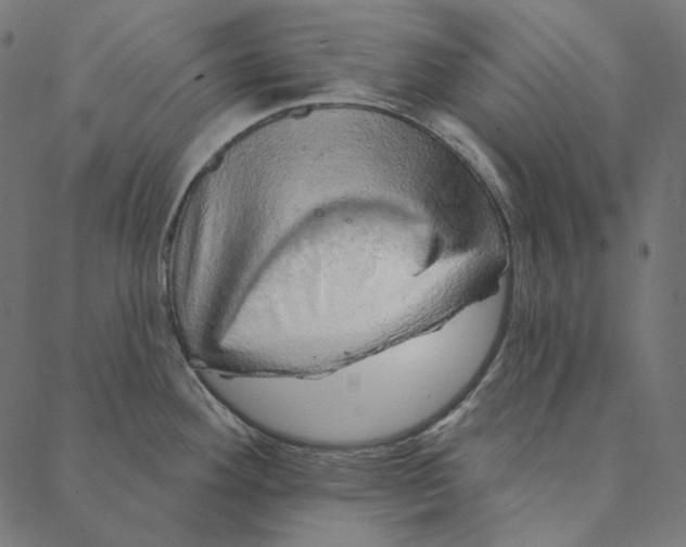 X0000087381292200705181233