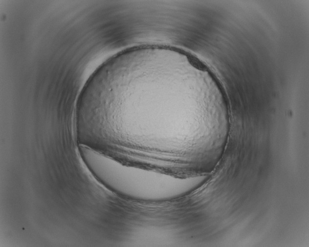 X0000087381295200705181233