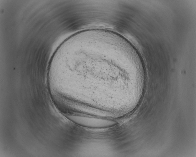 X0000087381296200705181233