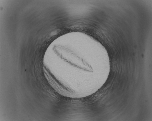 X0000087381297200705181232