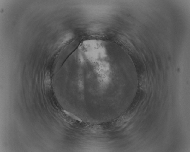 X0000087381298200705181232