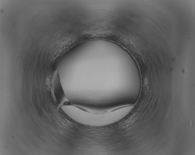 X0000087381300200705181232