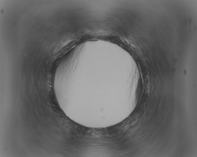 X0000087381301200705181232