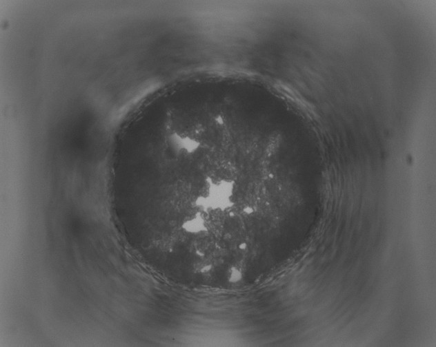 X0000087381302200705181232