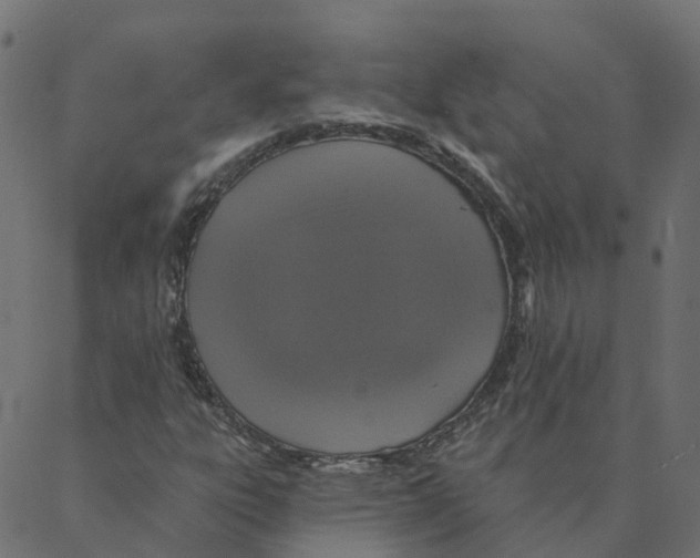 X0000087381303200705181232