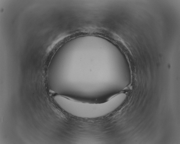 X0000087381304200705181232