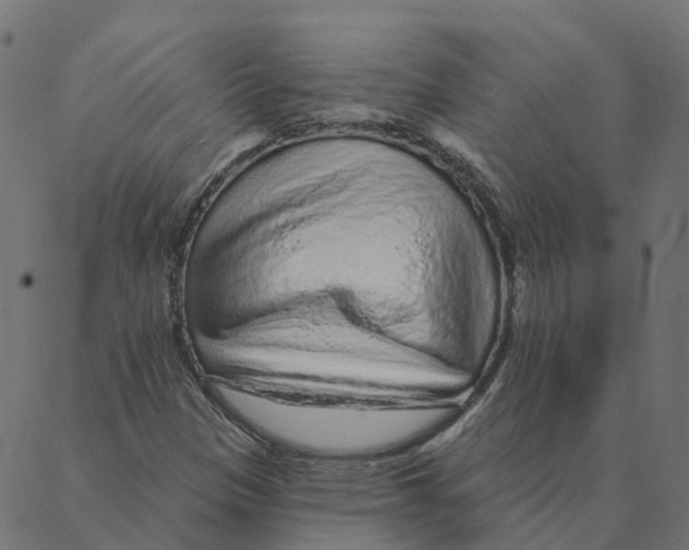 X0000087381305200705181232