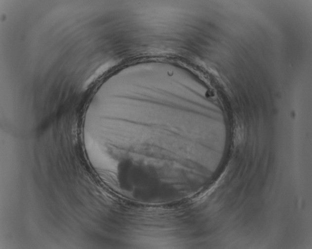 X0000087381306200705181232