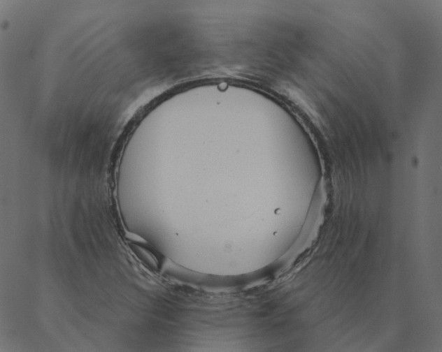 X0000087381308200705181232