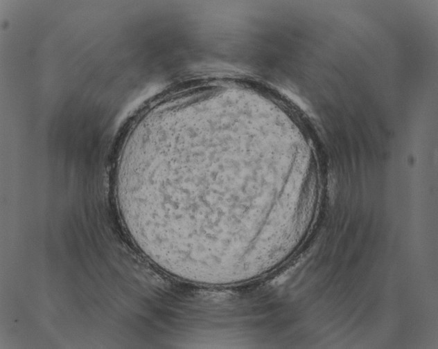 X0000087381309200705181232