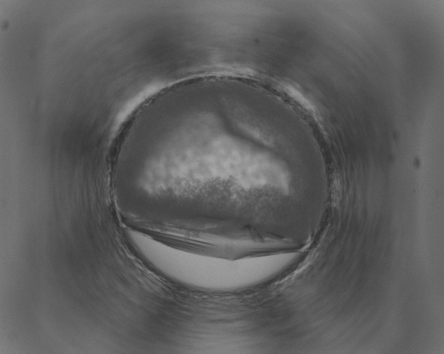 X0000087381310200705181232