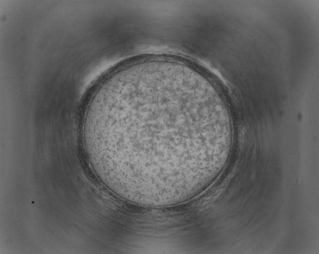 X0000087381311200705181232