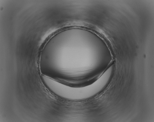 X0000087381312200705181232