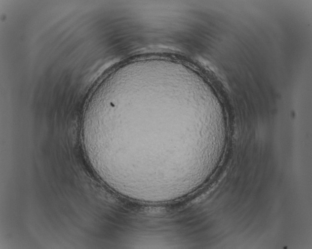 X0000087381313200705181232