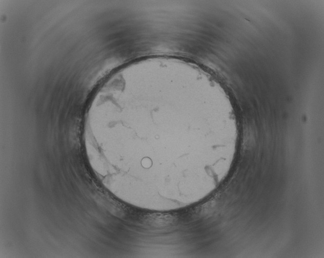 X0000087381314200705181232