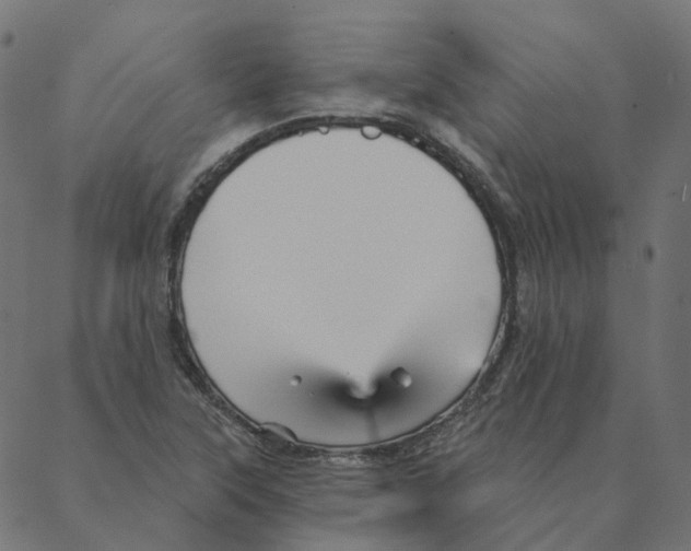 X0000087381315200705181232