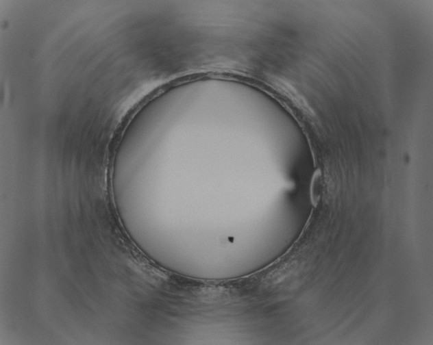 X0000087381316200705181232