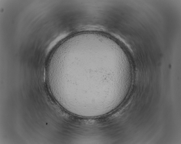 X0000087381317200705181232