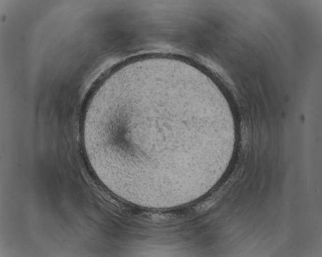 X0000087381318200705181232