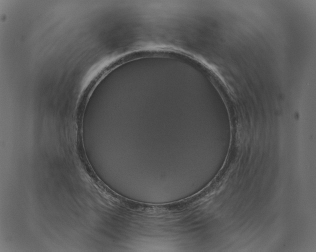 X0000087381319200705181232