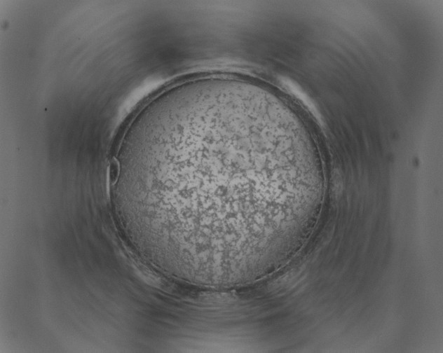 X0000087381320200705181232