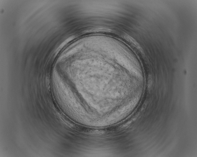 X0000087381321200705181232